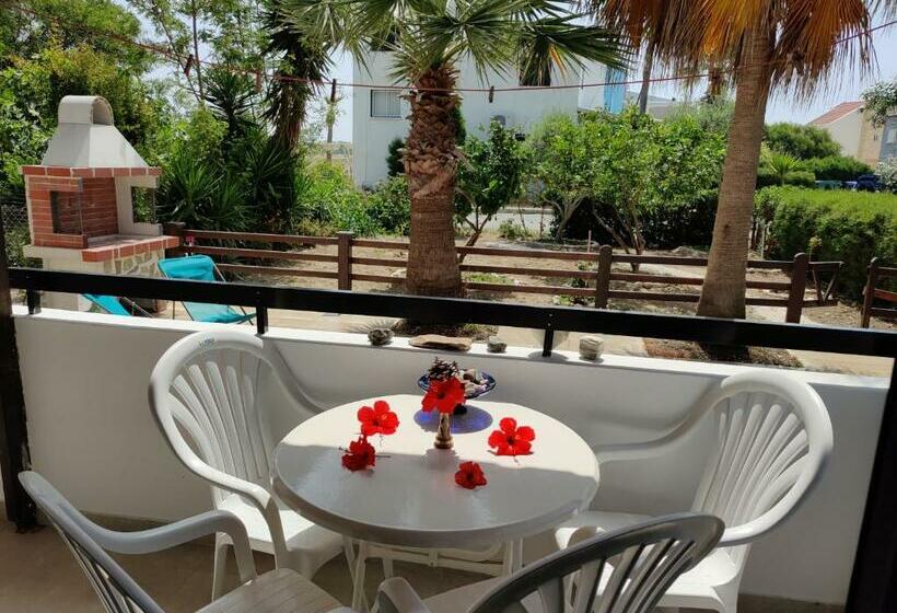 Palm Garden Paradise