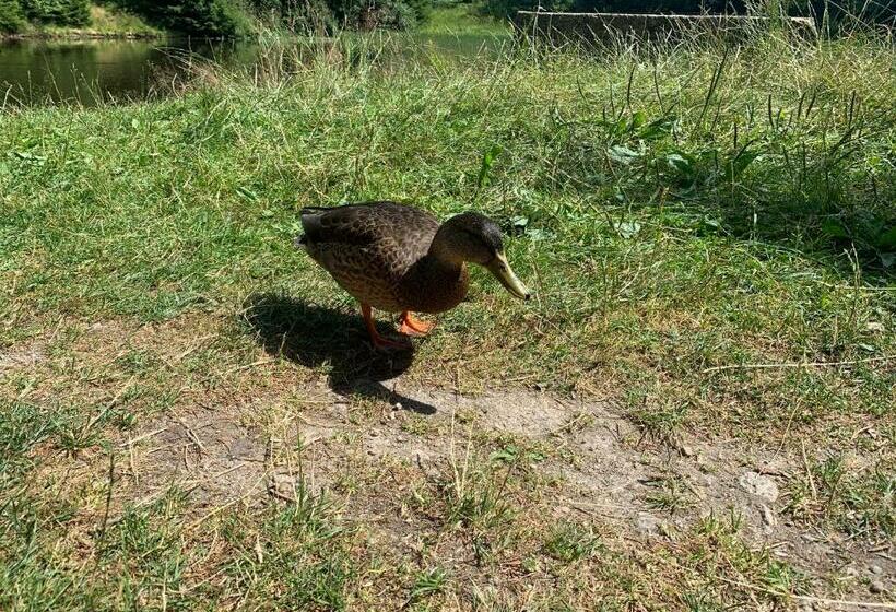 Ubytování U Matěje