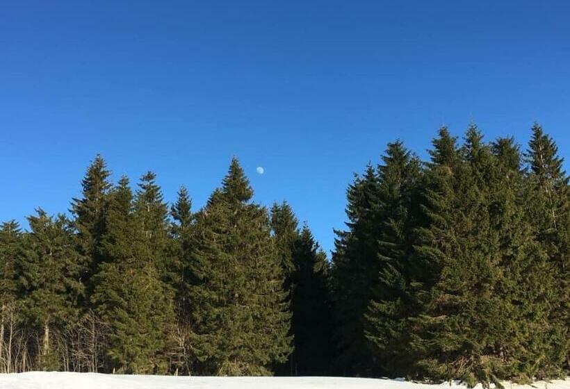 Ubytování U Matěje