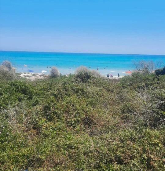 Kelibia Hammam Laghzez Villa A 130 M Du Plage Ezzahra