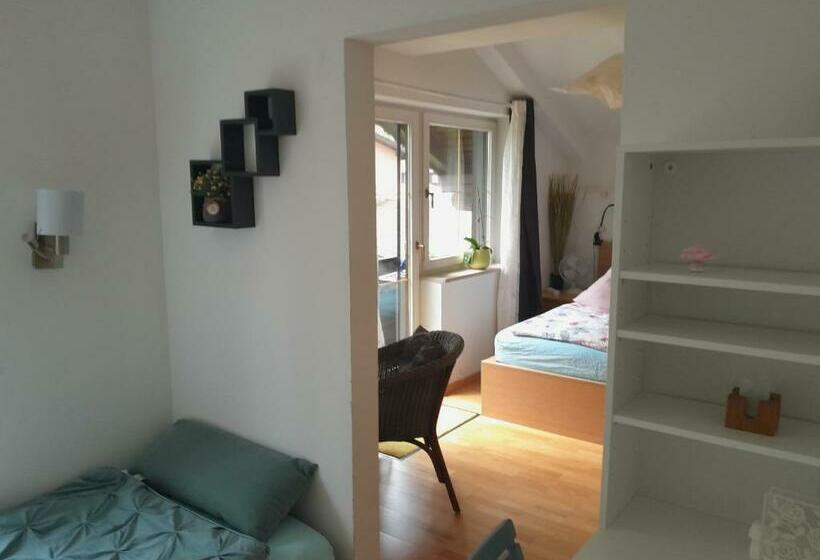 Apartment Mit Küche Und Balkon Oder Terrasse, Ruhig Und Gut Erreichbar