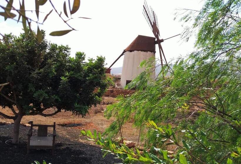 Casa Antigua En El Centro De Fuerteventura