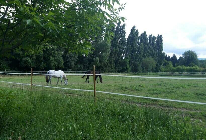 Gite Dans Mas A 10 Min De La Plage