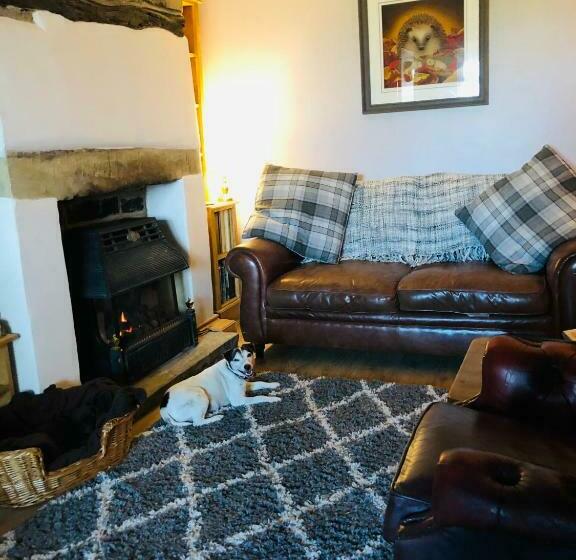 Hedgehog Cottage With Garden In Bronte Village!