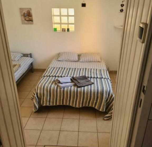 Les Oliviers Du Coquillon