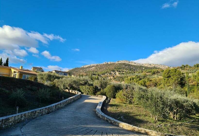 Les Oliviers Du Coquillon