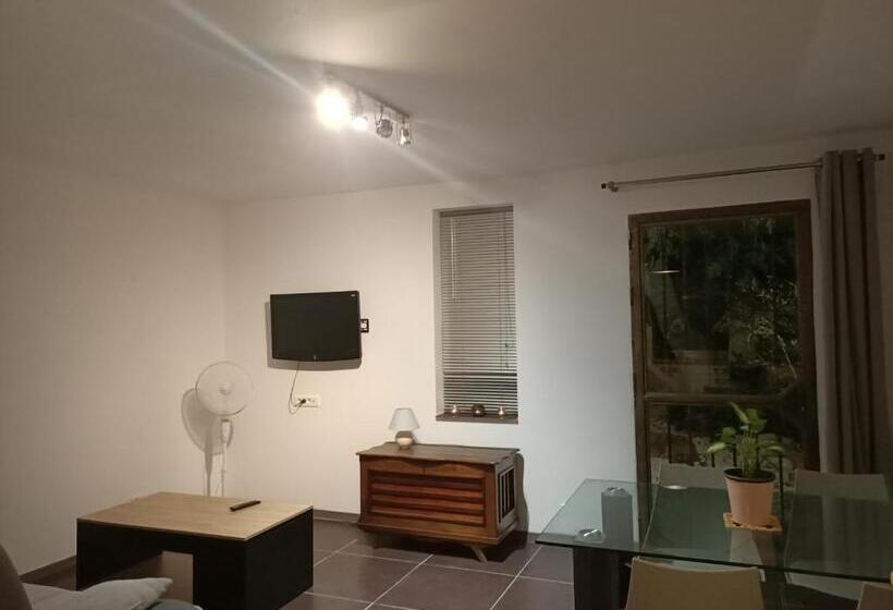 Magnifique Studio Pour Curiste