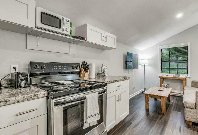 Pensacola Pearl   Studio Apartment   Pets Welcome