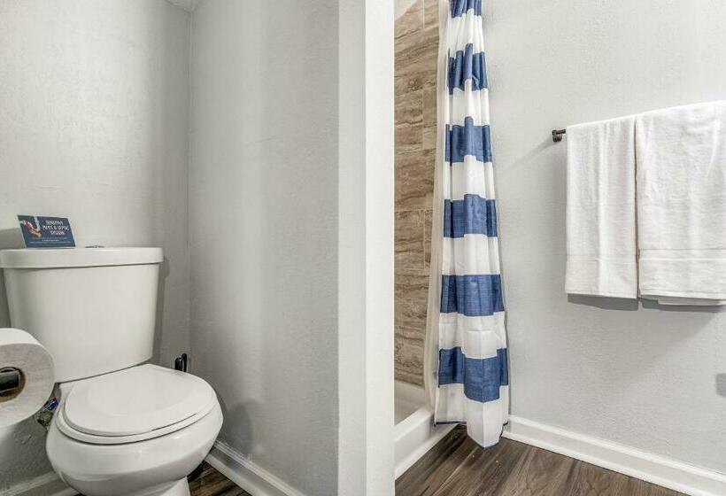 Pensacola Pearl   Studio Apartment   Pets Welcome