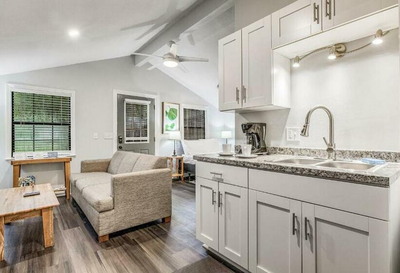 Pensacola Pearl   Studio Apartment   Pets Welcome