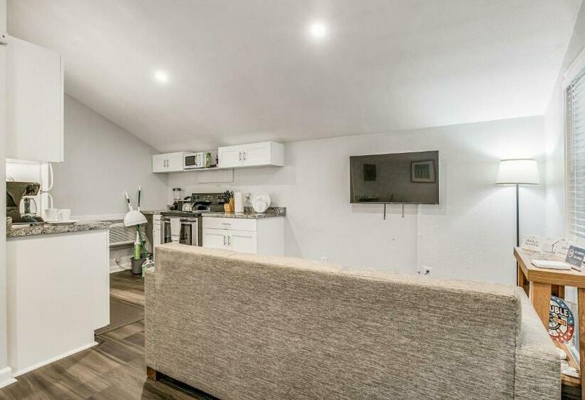 Pensacola Pearl   Studio Apartment   Pets Welcome