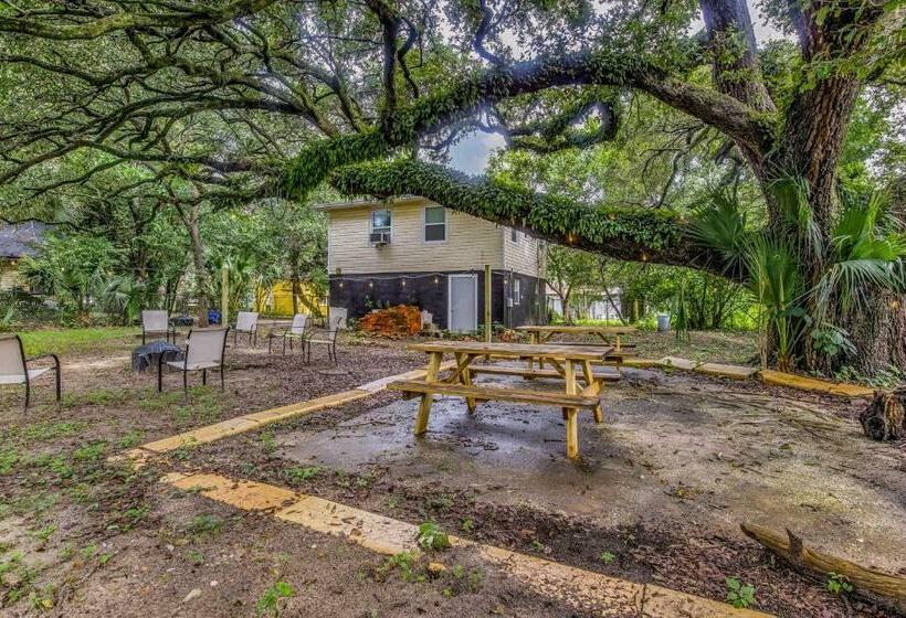 Pensacola Pearl   Studio Apartment   Pets Welcome