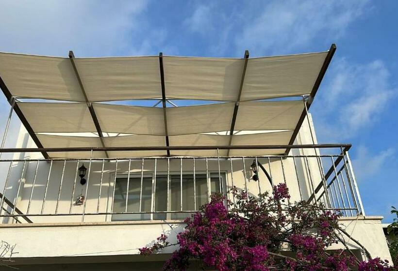 The Lovely Bodrum House