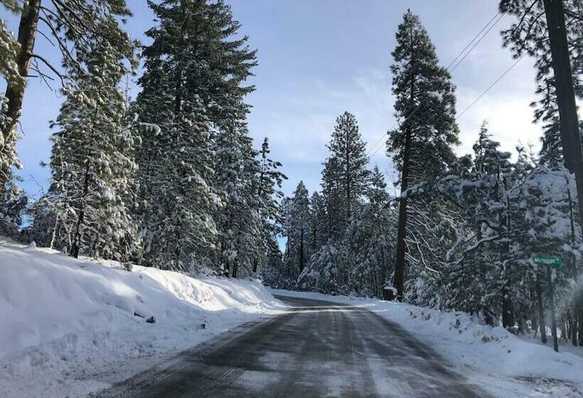 Pet/ski Friendly Hummingbird Nest Lodge