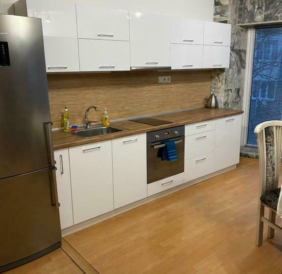 Spacious Apartment On Main Street