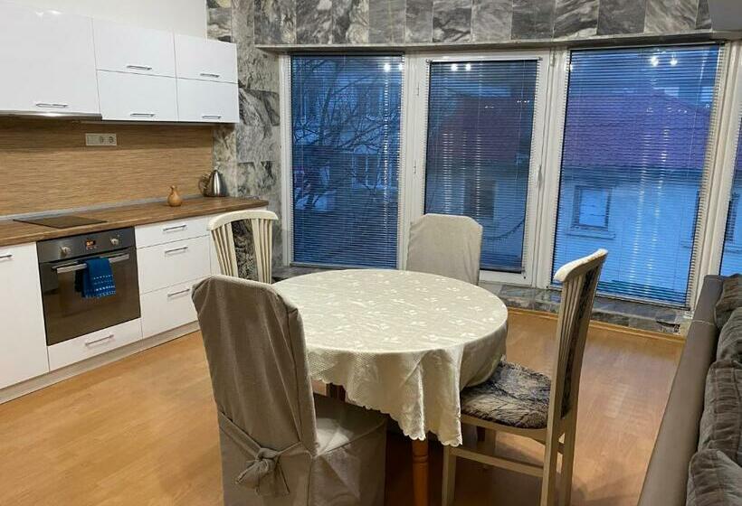 Spacious Apartment On Main Street