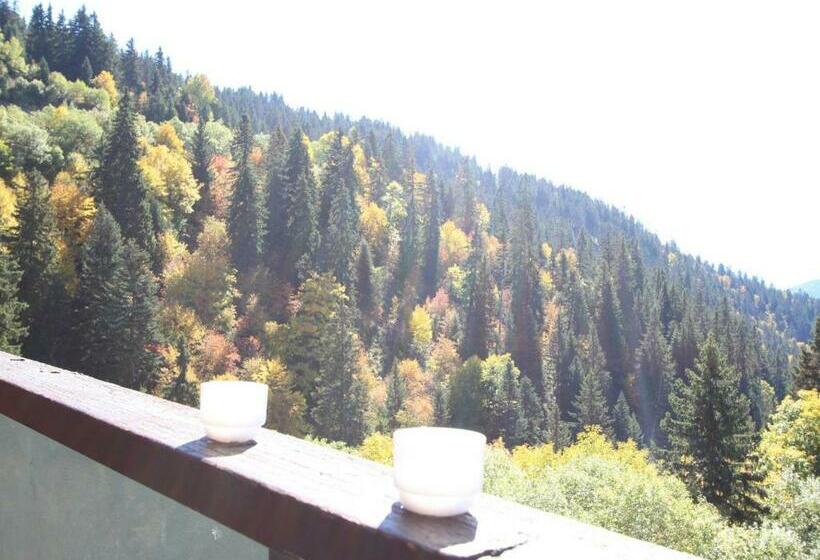 Studio Chamrousse, 1 Pièce, 4 Personnes   Fr 1 340 260