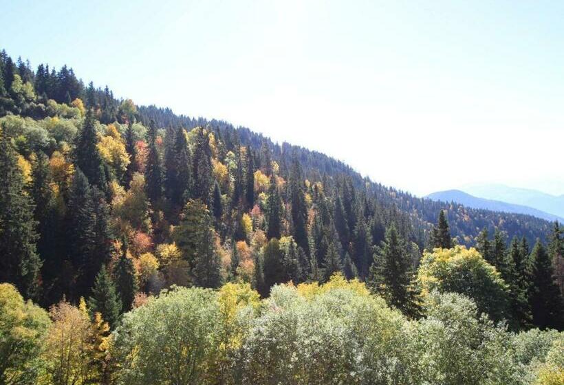 Studio Chamrousse, 1 Pièce, 4 Personnes   Fr 1 340 260