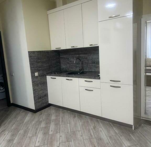 двухкомнатная квартира в новостройке ,центре еревана, возле площади республика