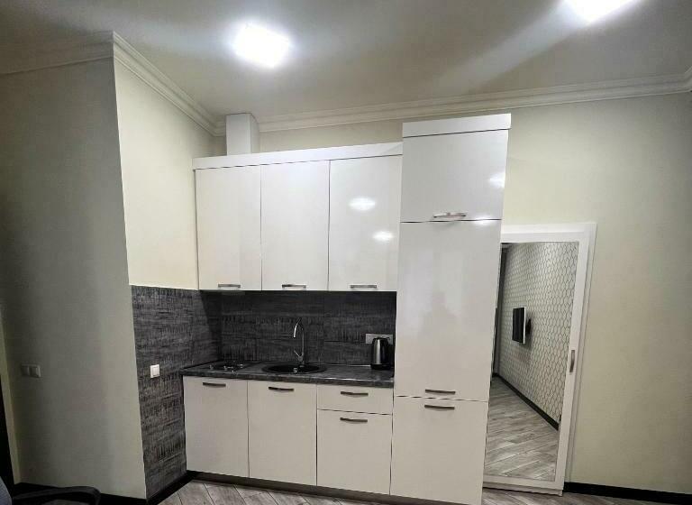 двухкомнатная квартира в новостройке ,центре еревана, возле площади республика