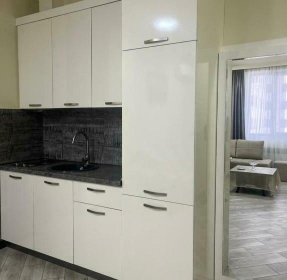 двухкомнатная квартира в новостройке ,центре еревана, возле площади республика