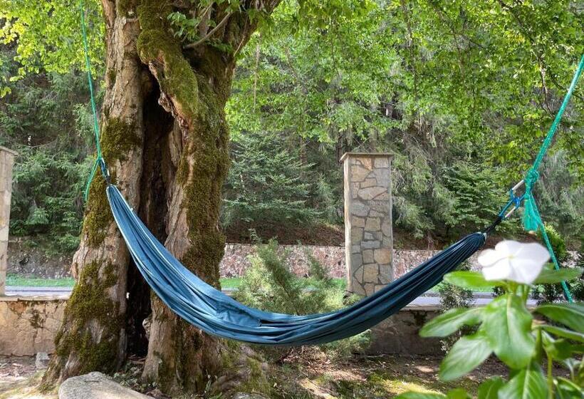 вила 11   семейна почивка в сърцето на балкана