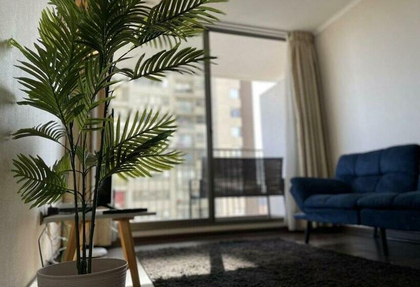 Cerro Amarillo · Acogedor Y Amplio Departamento Centro Concepción