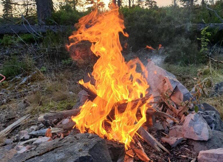 Cabin Near Lake And Beautiful Nature Reserve