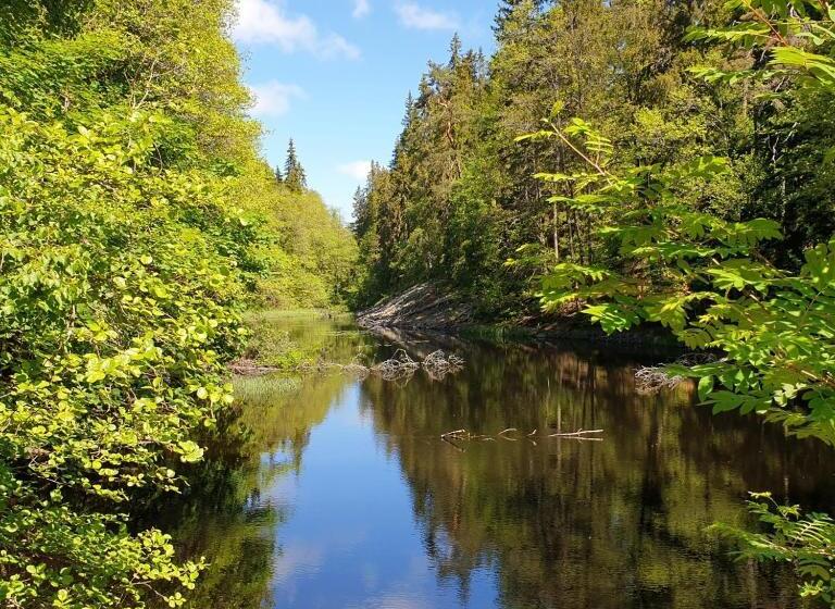 Cabin Near Lake And Beautiful Nature Reserve