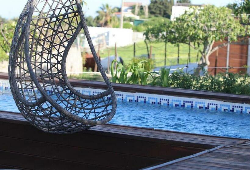 Les Chevaux De Coeur