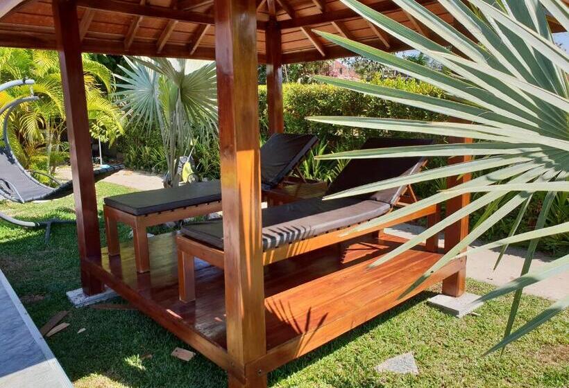 My Paradise Pool & Garden