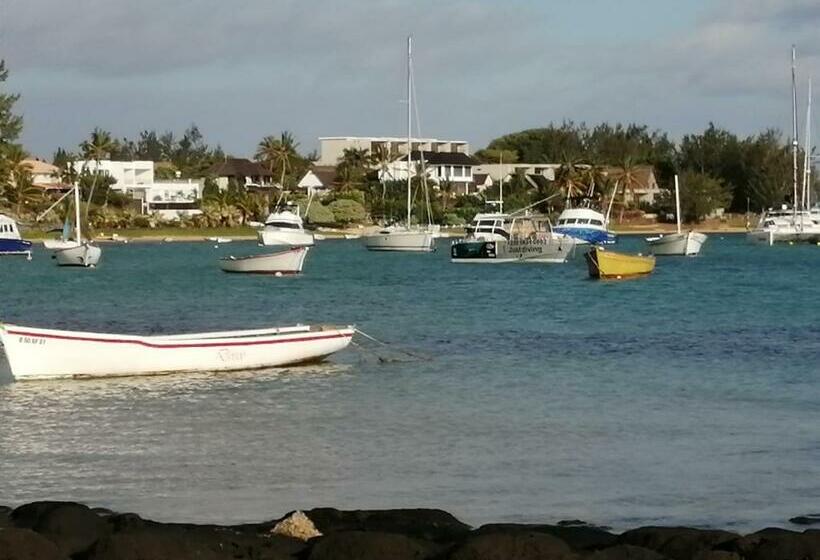 Les Filaos De Pereybere