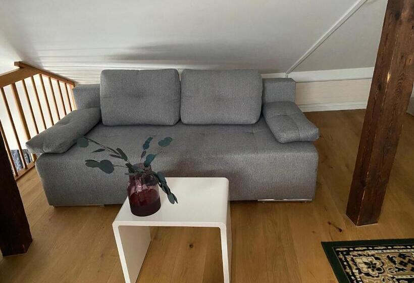 Stylish Two Floor Apartment In A Heart Of Basel