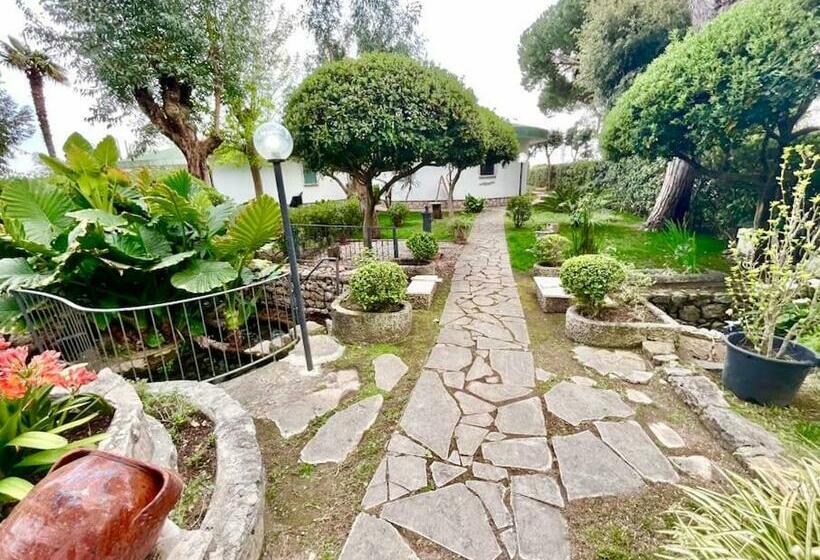 Villa Sulla Spiaggia X6 Con Giardino E Posti Auto