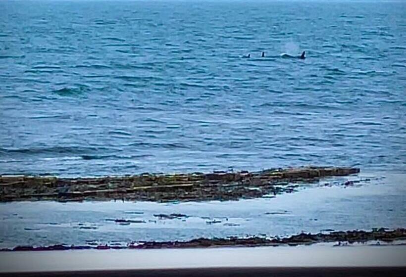 4 Sinclair Bay Lodges