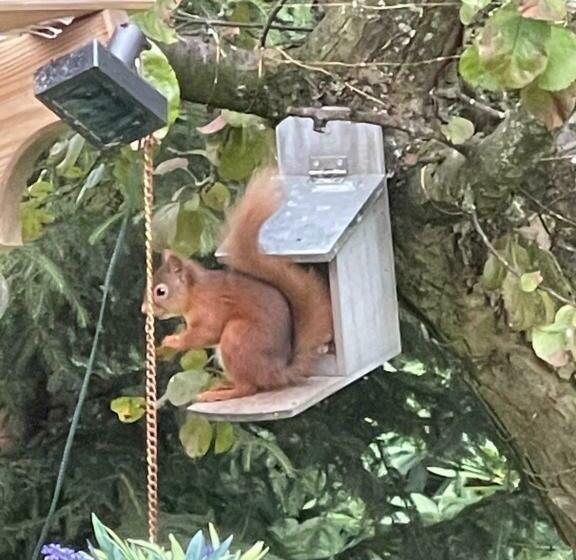 Drummond Neuk   Pets Welcome Free, Country Setting, Free Onsite Parking