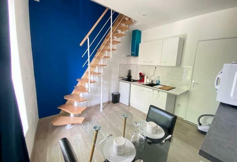 La Residence Des Célestins Appartement Duplex N14 Centre Vichy