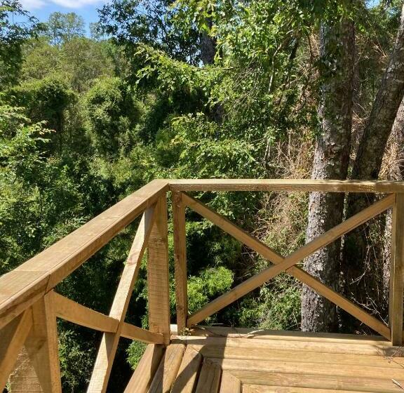 Los Canelos De Cayumapu