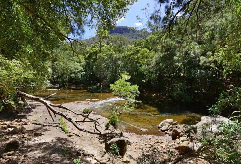 Rainforest River Studio Kangaroo Valley