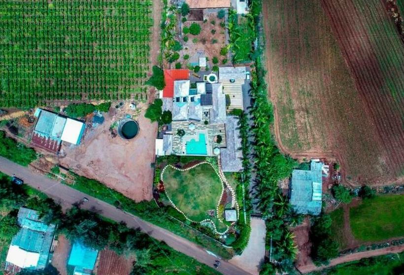 Castle Vintage Villagehouse 6bhk