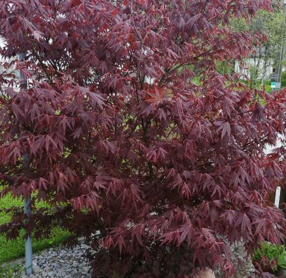 Ferienhaus Krallinger