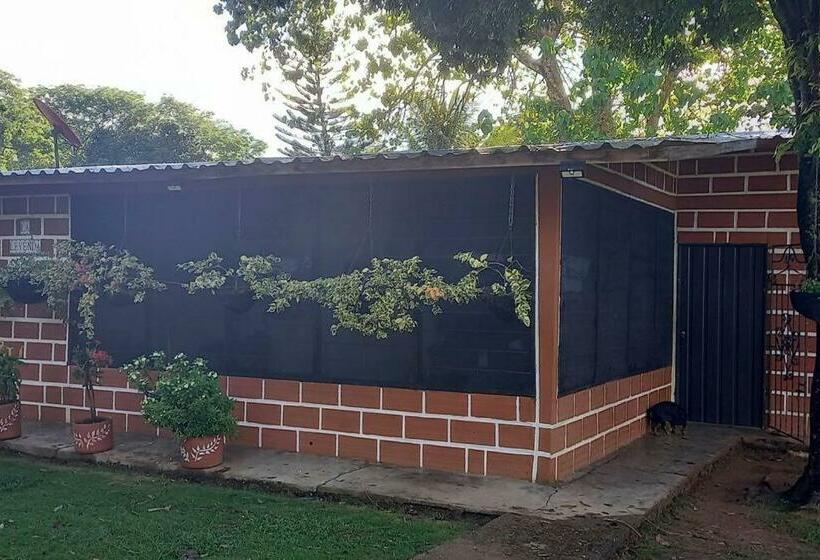 Granja De Búfalos Paz Y Armonía Vida De Campo