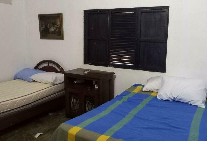 Granja De Búfalos Paz Y Armonía Vida De Campo