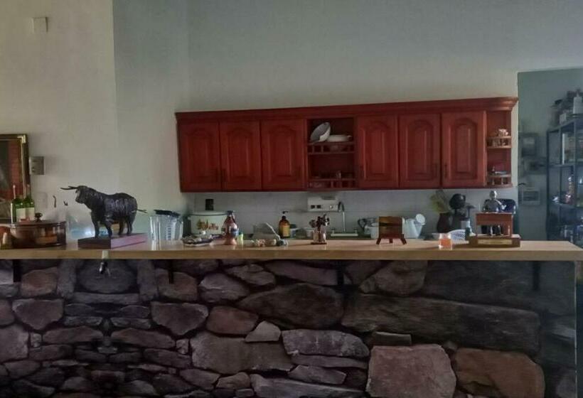 Granja De Búfalos Paz Y Armonía Vida De Campo