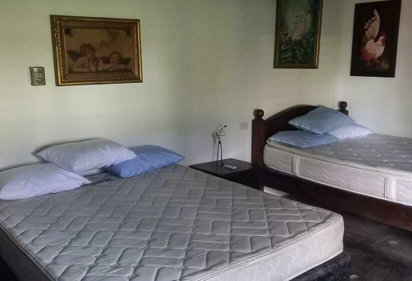 Granja De Búfalos Paz Y Armonía Vida De Campo