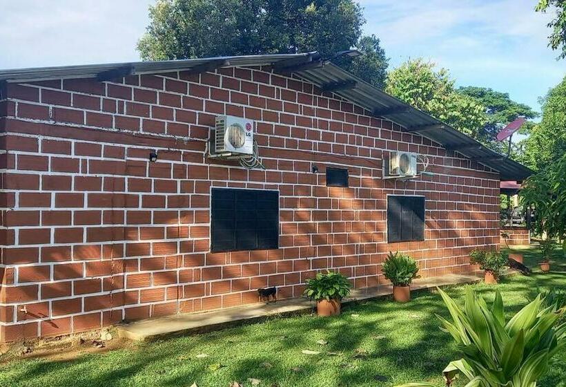 Granja De Búfalos Paz Y Armonía Vida De Campo