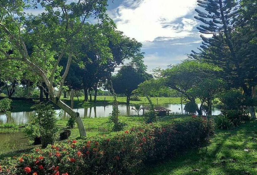 Granja De Búfalos Paz Y Armonía Vida De Campo
