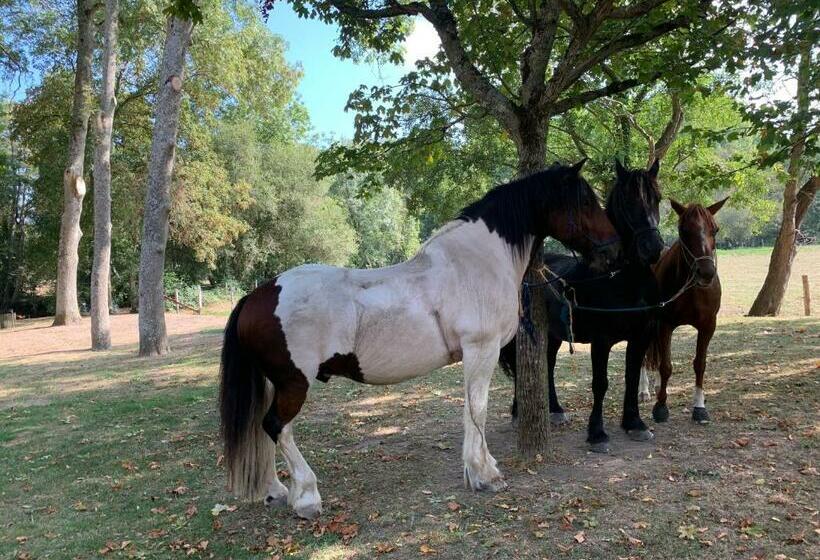 Les Marches Du Château   Gîte Centre De Nogent Le Rotrou