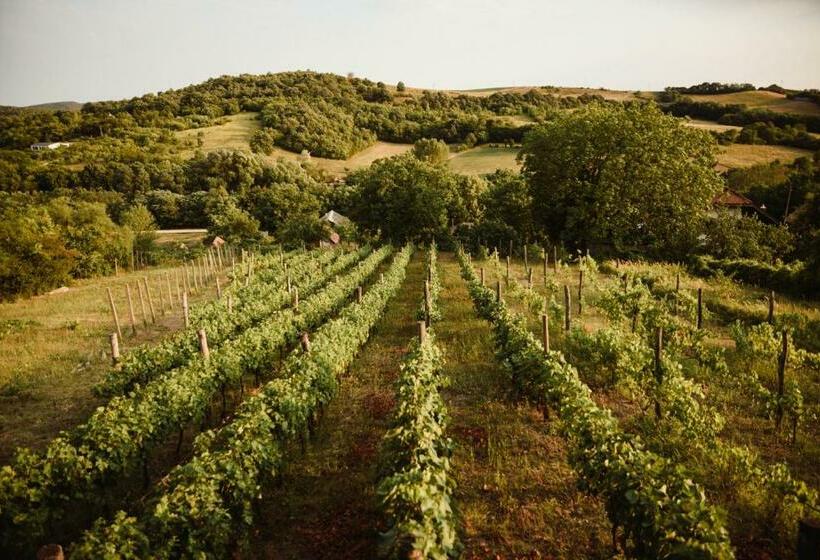 Messzelátó Vendégház