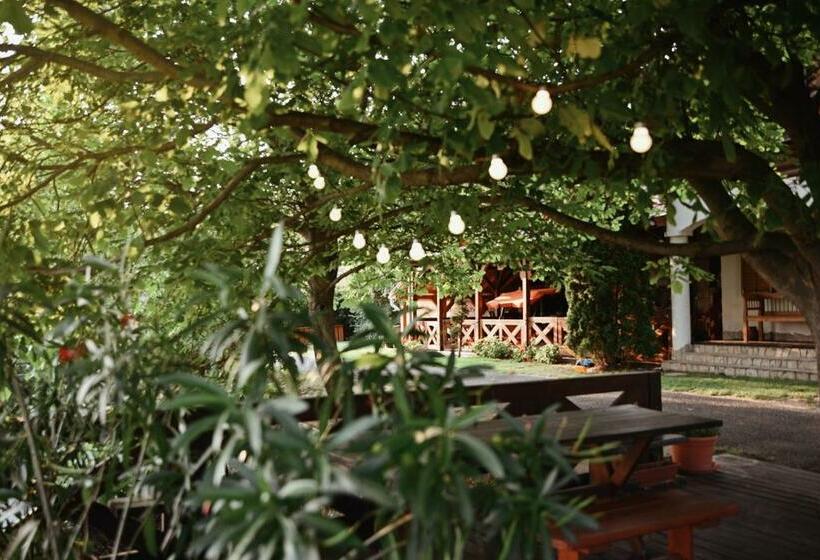 Messzelátó Vendégház